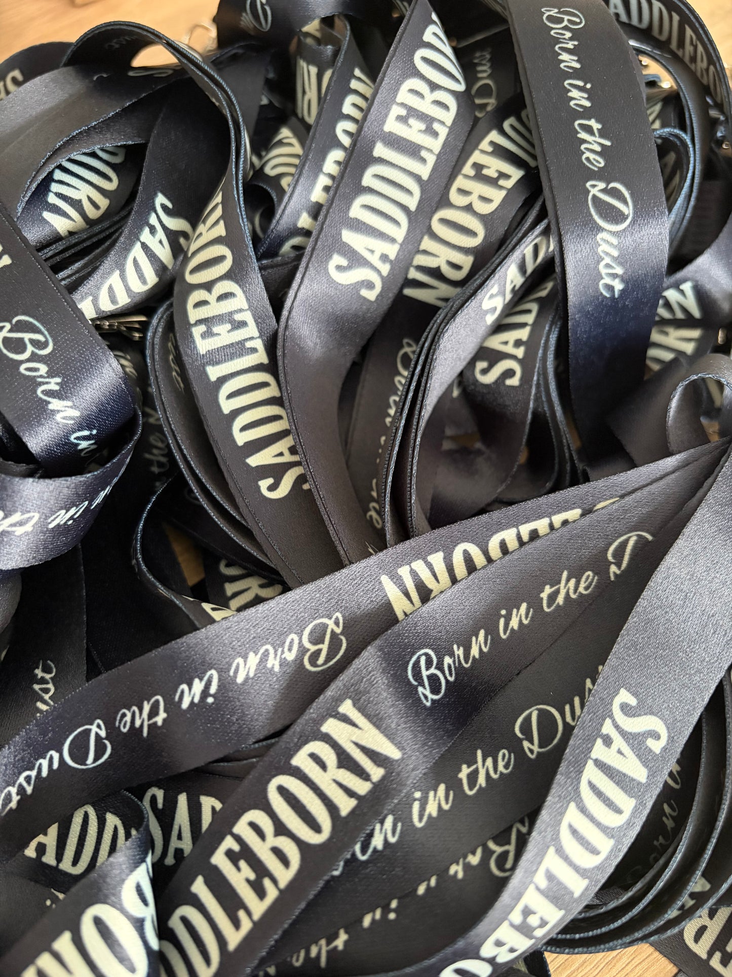 Lanyard and Clip