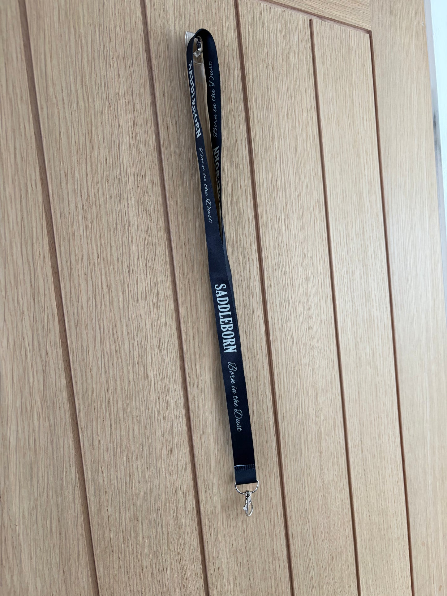 Lanyard and Clip